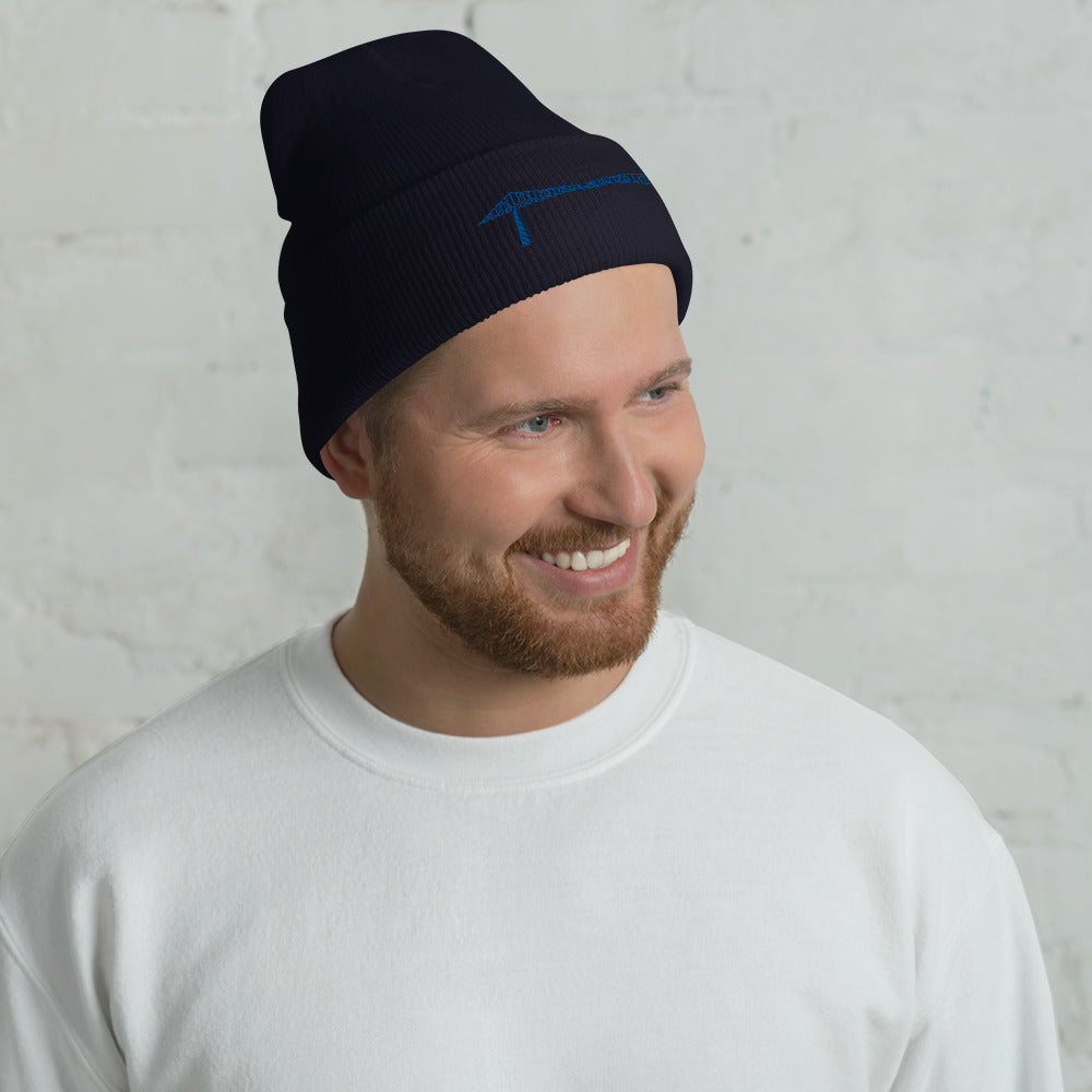 Transporter Embroidered Beanie