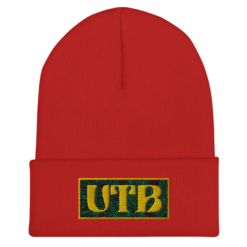 UTB paisley Cuffed Beanie