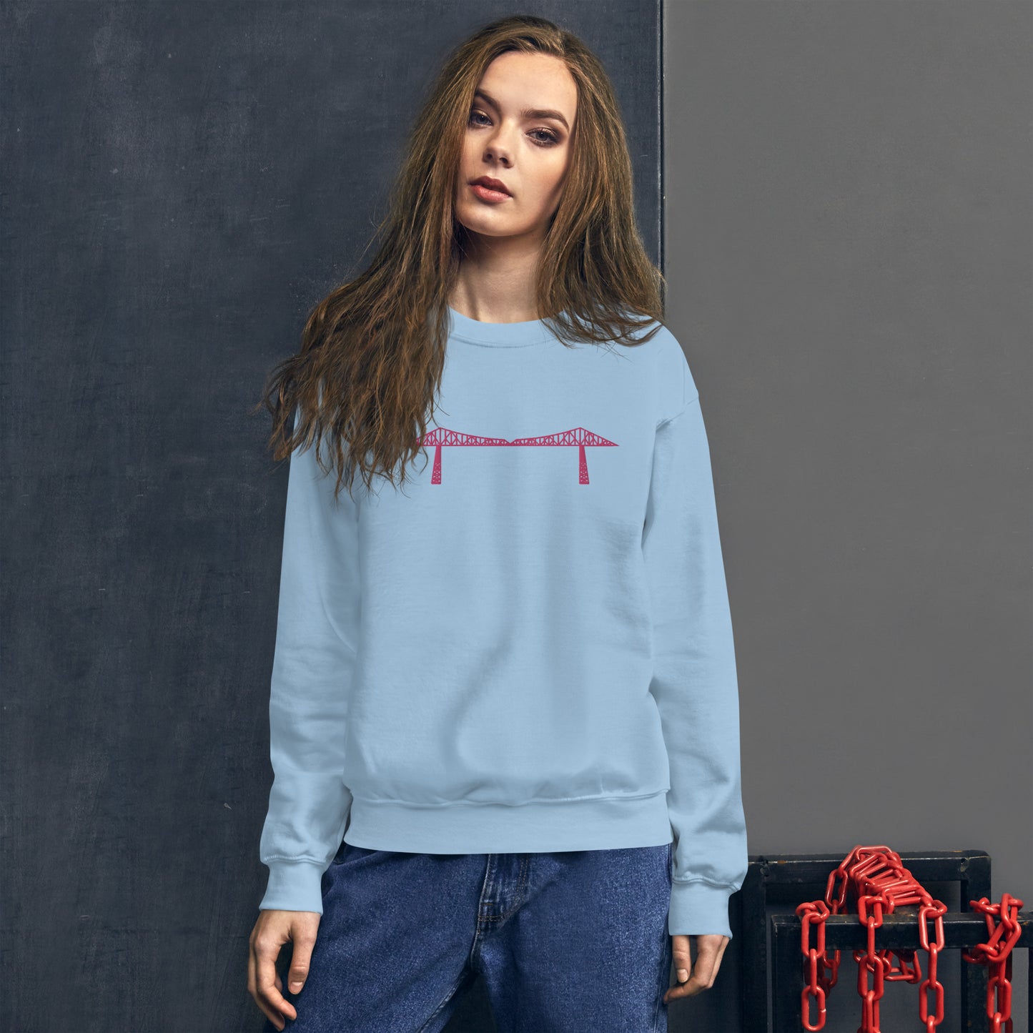Transporter pink embroidered Sweatshirt